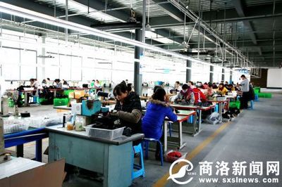 重大項目微掃描:一起了解丹鳳鳳發實業保健鞋、毛坪農業產業園項目